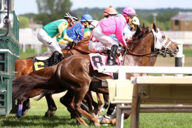 Minnesota Thoroughbred Association