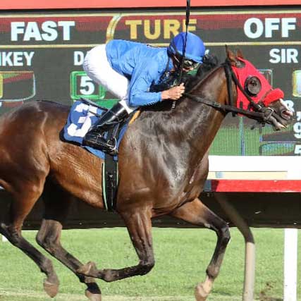Minnesota Thoroughbred Association
