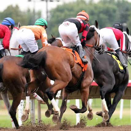 Minnesota Thoroughbred Association