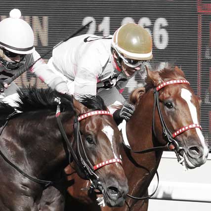 Minnesota Thoroughbred Association