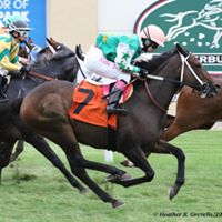 Minnesota Thoroughbred Association
