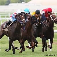 Minnesota Thoroughbred Association